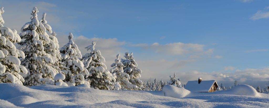 Winterlandschaft, Foto: Bob Canning für unsplash